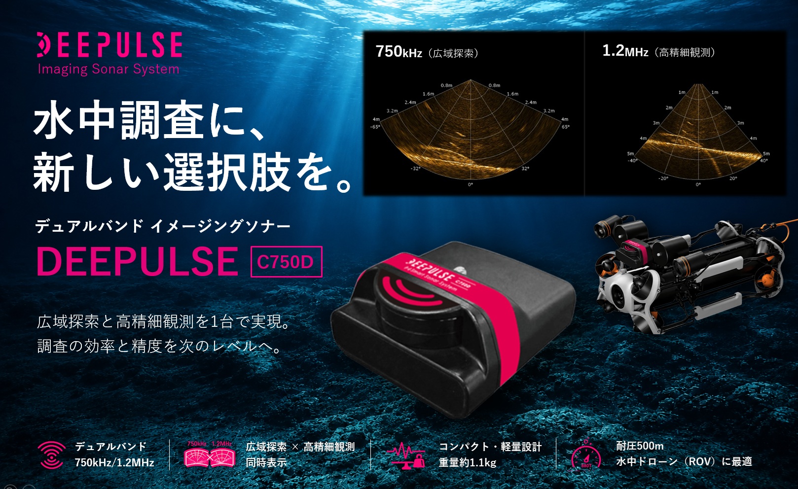 デュアルバンド イメージングソナー DEEPULSE C750D